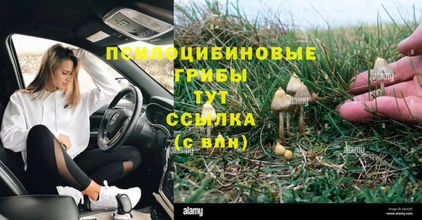 ECSTASY Вязники