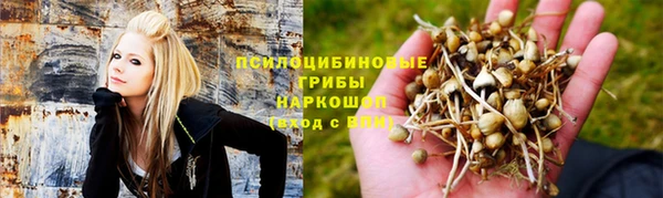 соль ск Володарск