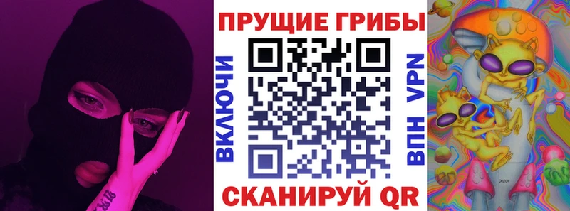Галлюциногенные грибы Psilocybine cubensis  где купить наркоту  Зеленогорск 